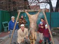 20121209_Porc_CS